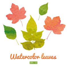 Watercolor set of autumn leaves