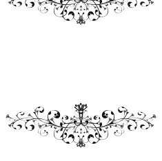 Floral ornament N158