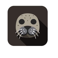 Sea lion animal face flat design