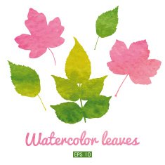 Set of beautiful watercolor leaves