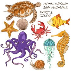 Set of isolated sea animals N2