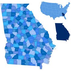 Georgia state & counties map