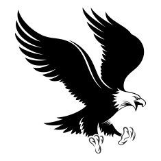Bald Eagle N9