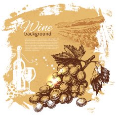 Wine vintage background N5