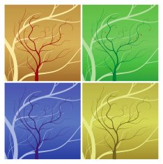 tree seasons