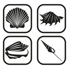 Sea shell icon - four variations