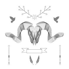 Abstract animal background line art Skull Antlers Vector Isolated N10