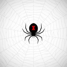 Spider on web N3