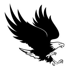 Bald Eagle N10