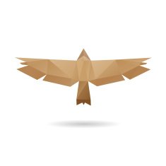 Eagle abstract isolated on a white background N4