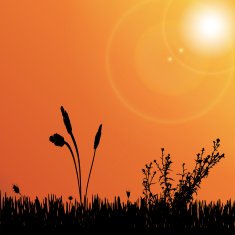 Vector silhouette of meadow N4