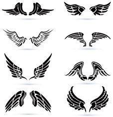 wings icons N2