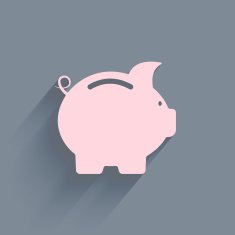 Piggy Bank Icon N15