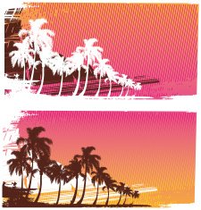 Tropical surf landscape N3