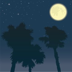 Moon N26