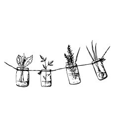 Ink Drawing With Greenery N2