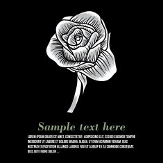 Black silhouette of rose N8