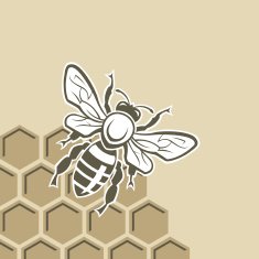 Bee and honey N7