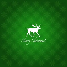 Grunge retro snowflakes and deer N4