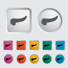 Pancreas icon N5