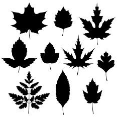 Set of autumn leaves silhouettes