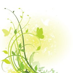 Spring foliage N2