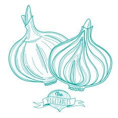 Outline hand drawn sketch of onion (flat style thin line)