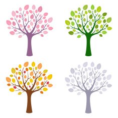 Seasons tree N3