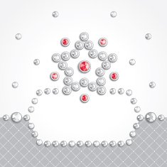 Christmas Star N16