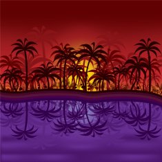 Jungle sunset N2