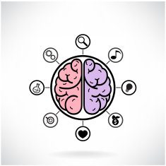 Concept of brain function