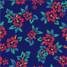hibiscus repeats N56