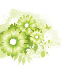 Flower design green N2