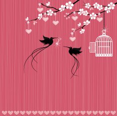 Valentine birds and cage