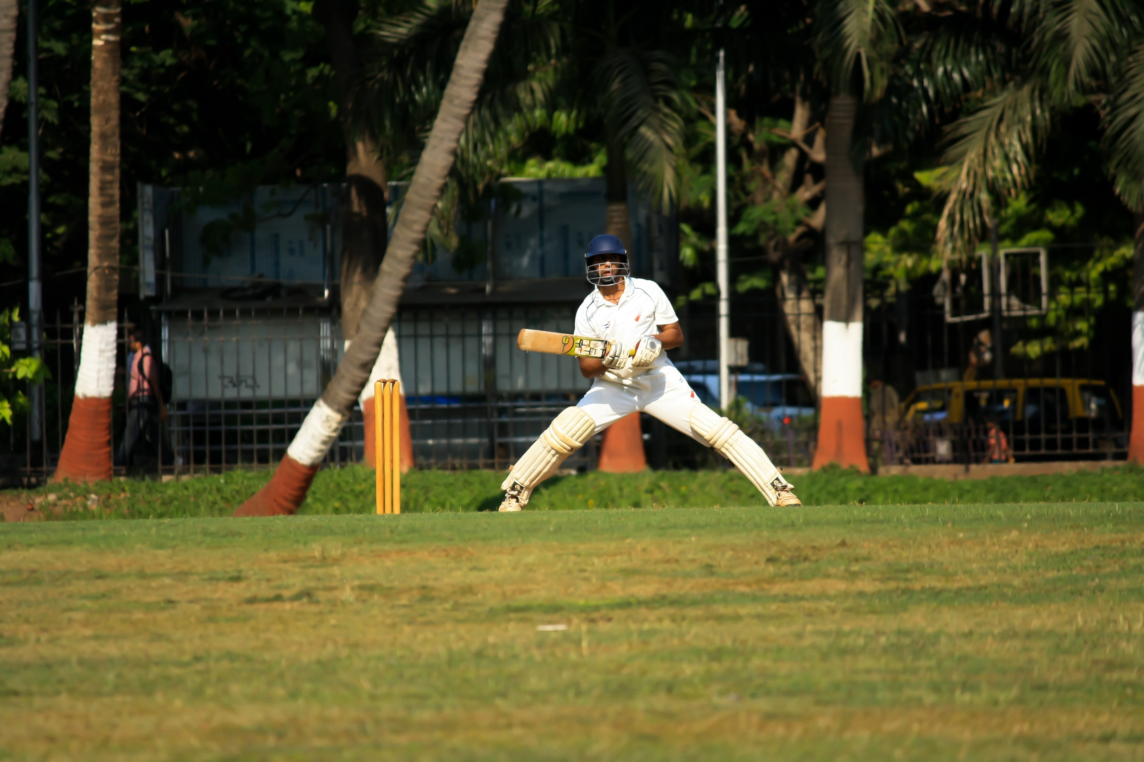 Batsman in cricket free image download
