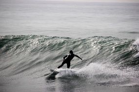 high wave surfer in the ocean