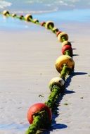 anchor chain beach
