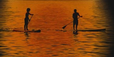 silhouettes of surfers on the water