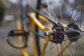 wheel of a bicycle