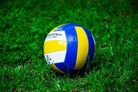 Blue yellow ball football on green grass