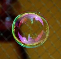 Colorful soap bubble against the grid background