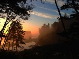 ruby beach sea