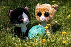 two plush kittens and a ball on a green meadow