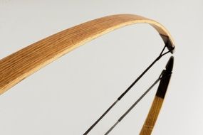 sport archery bow