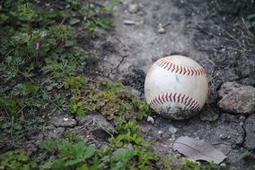 baseball accessory ball