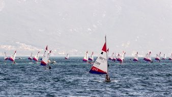 wind surfing competition on the lake