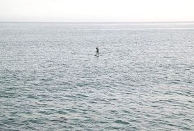 water activity