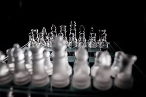 white and black chess on the board