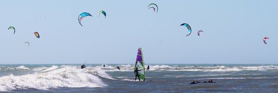 windsurfing in the ocean