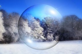 winter landscape through the ball